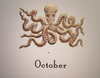 Four Seasons Octopus Calendar Refill