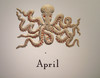Four Seasons Octopus Calendar Refill