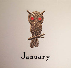 2014 Four Seasons Owl Calendar Refill